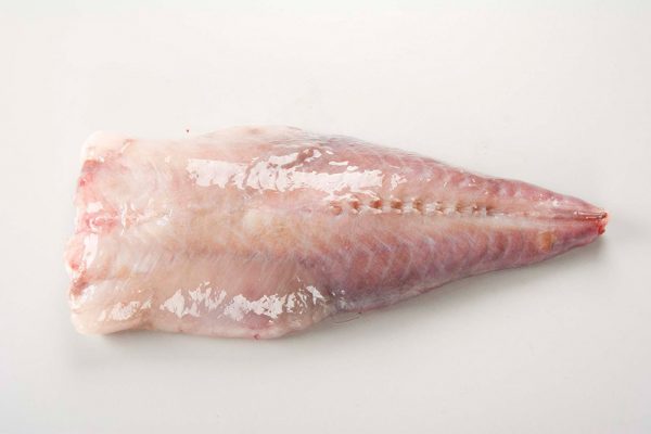 Monkfish